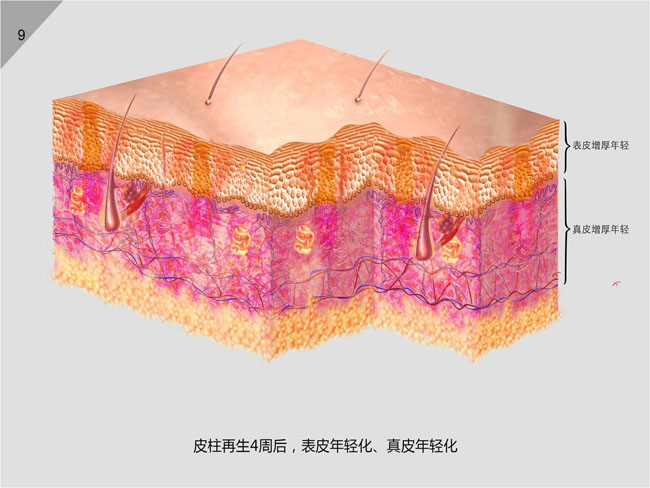 腾博会官网 - 诚信为本,专业效劳!