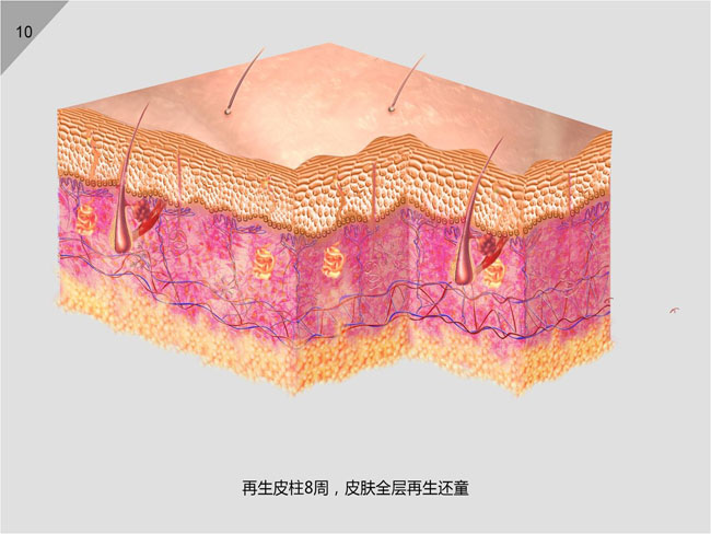 腾博会官网 - 诚信为本,专业效劳!