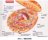 腾博会官网 - 诚信为本,专业效劳!